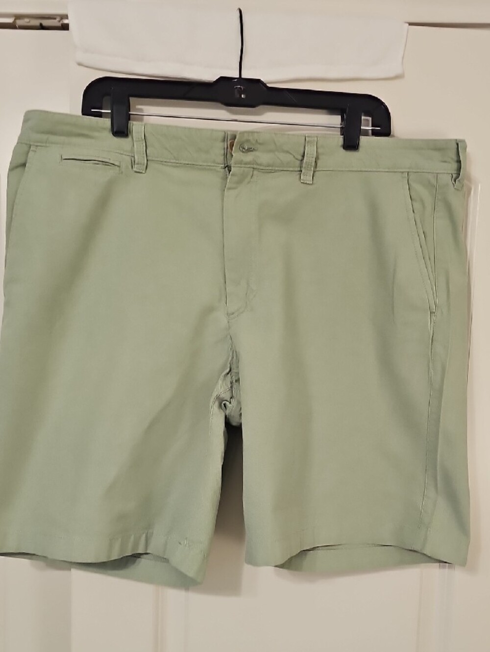 L.L.Bean Light Green and Tan Standard Fit Cotton Shorts
